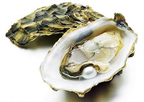 Songwriting Tip: Oysters and Muses